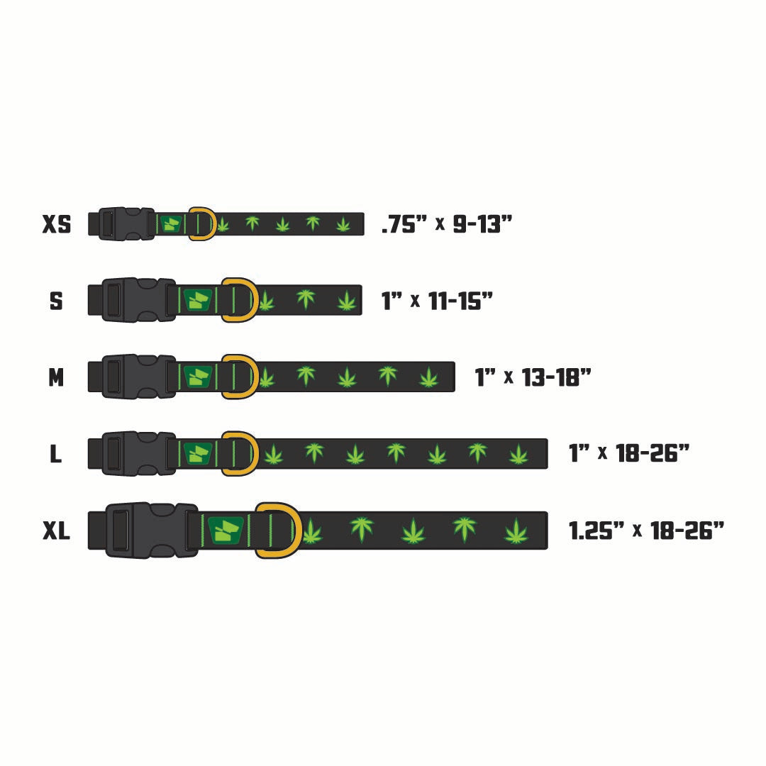 Reflective Base Camp Collar • Mary Jane - Coal Black