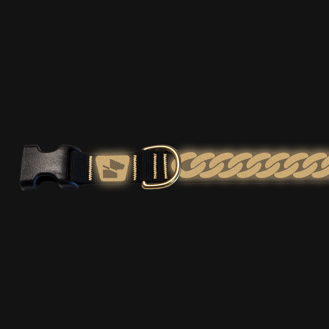 Reflective Base Camp Collar • Curb Chain - 24k Gold