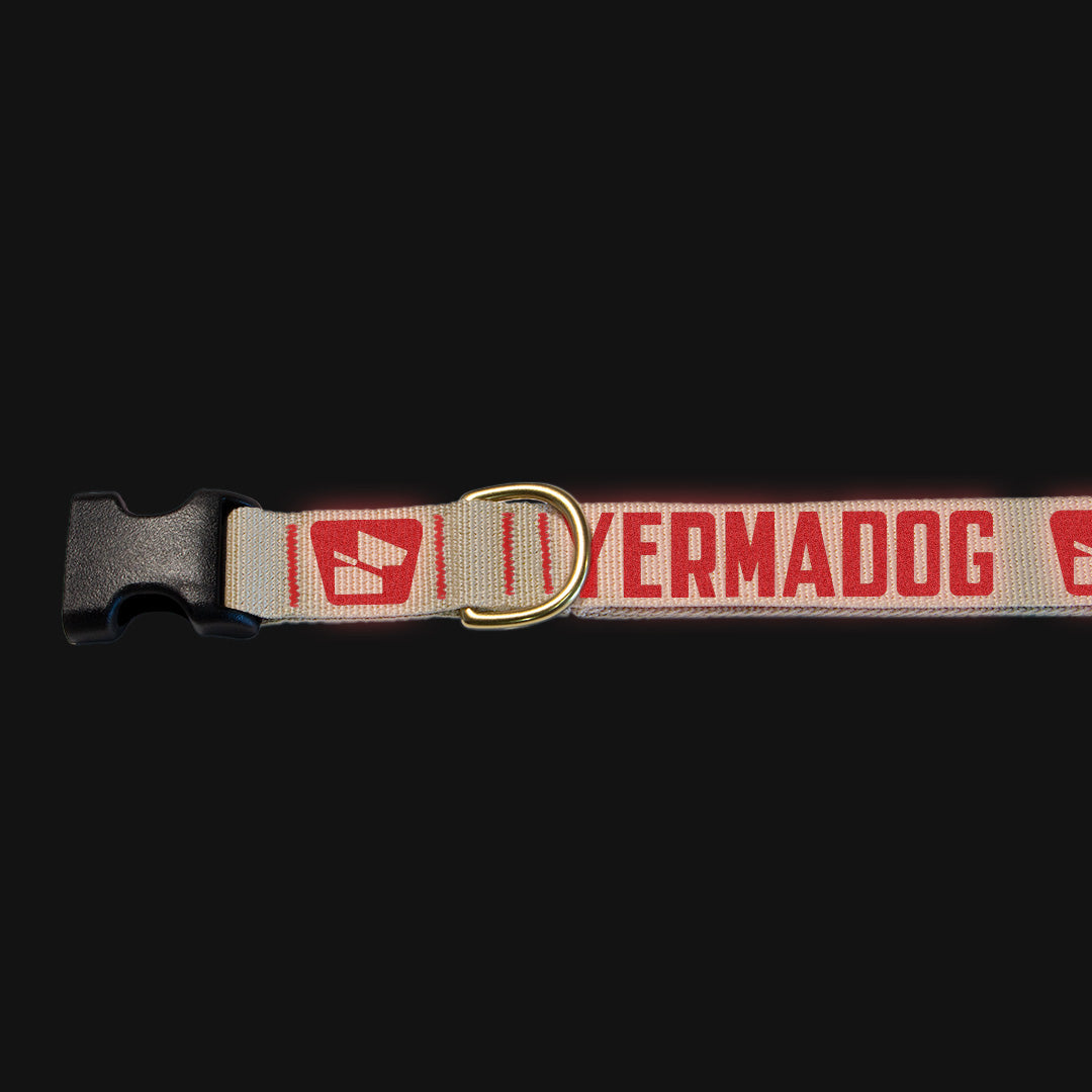Reflective Base Camp Collar • Loud Logo - Desert Tan