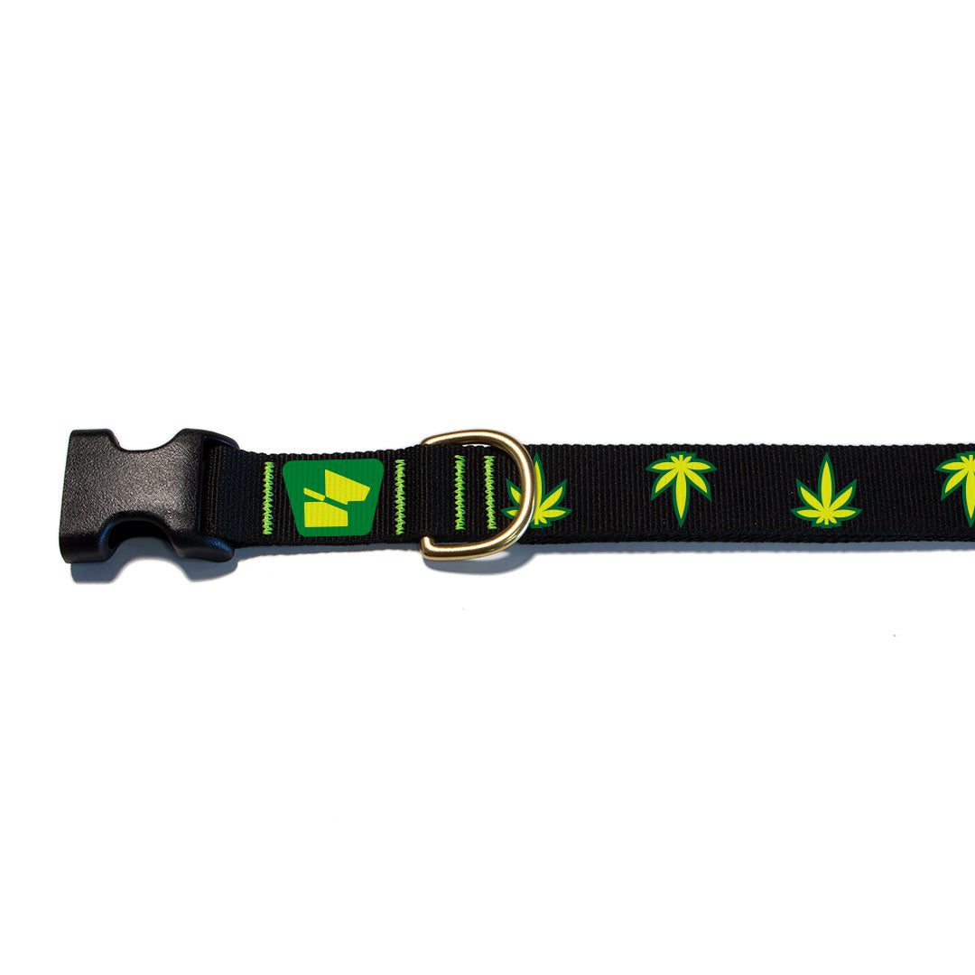 Reflective Base Camp Collar • Mary Jane - Coal Black
