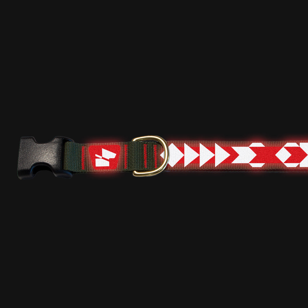 Reflective Base Camp Collar • Pendleton Pattern - Ranger Green