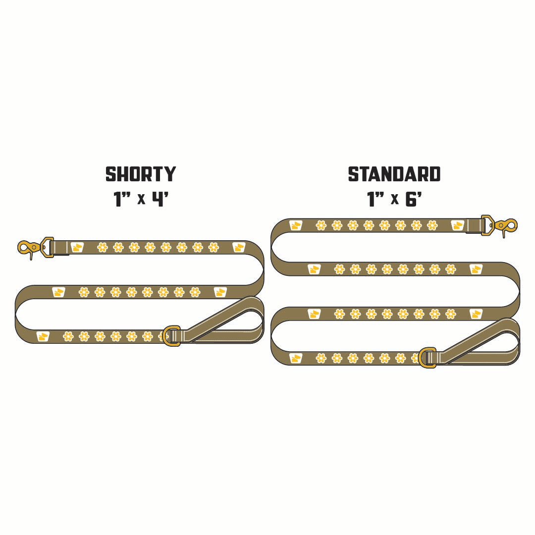 Reflective Wanderwag Leash • Funky Flowers - Coyote Brown