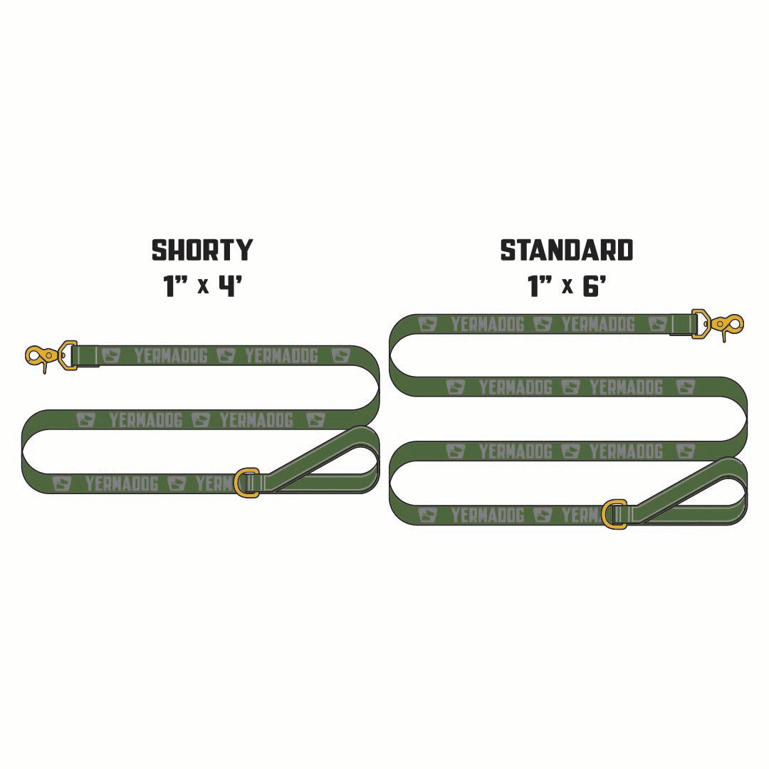 Reflective Wanderwag Leash • Loud Logo - Ranger Green