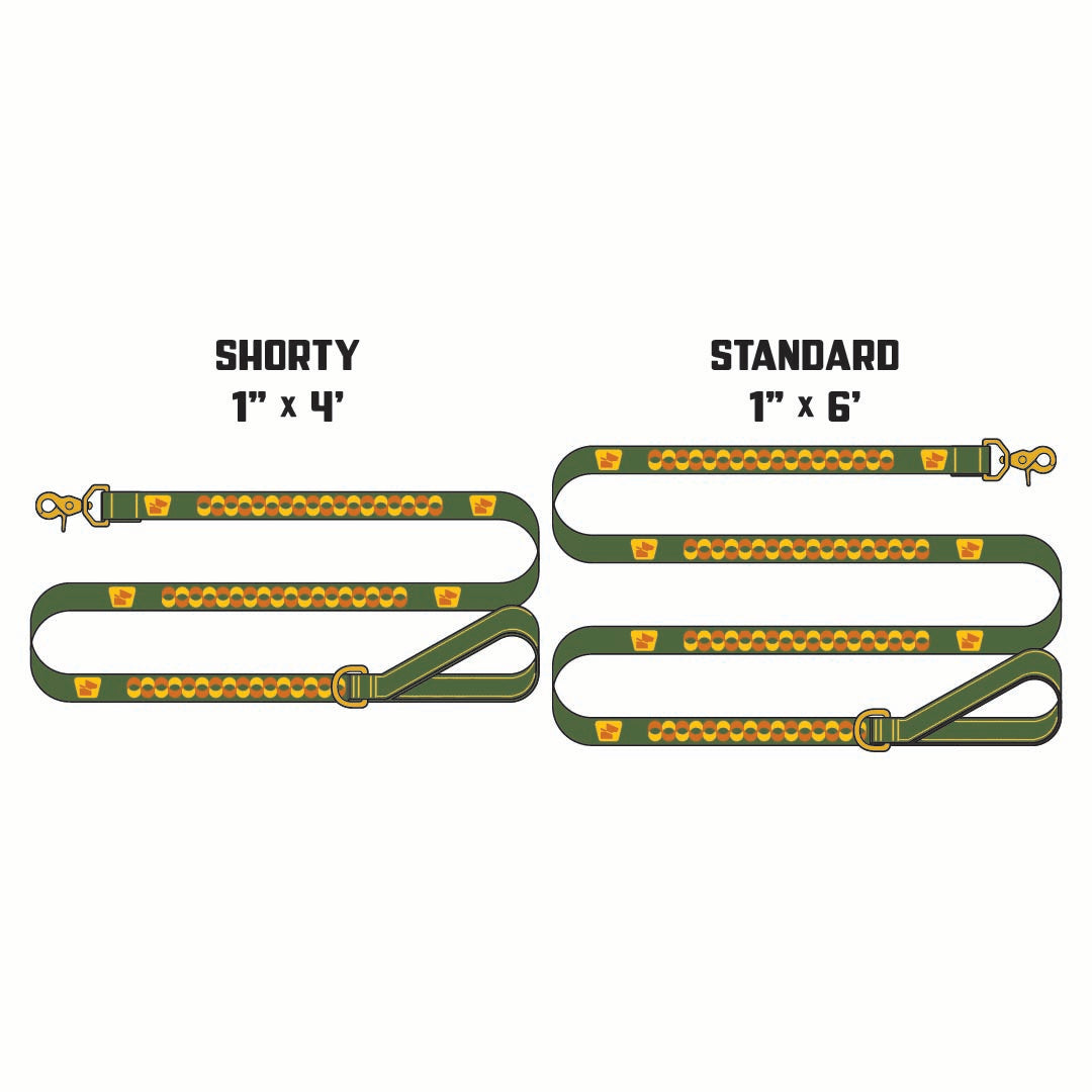 Reflective Wanderwag Leash • Retro Ribbon - Ranger Green
