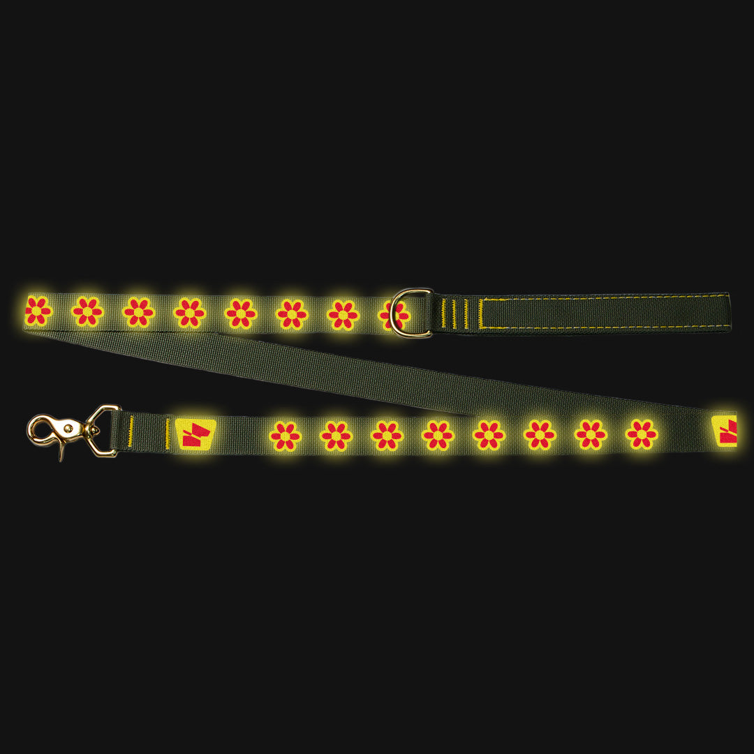 Reflective Wanderwag Leash • Funky Flowers - Ranger Green