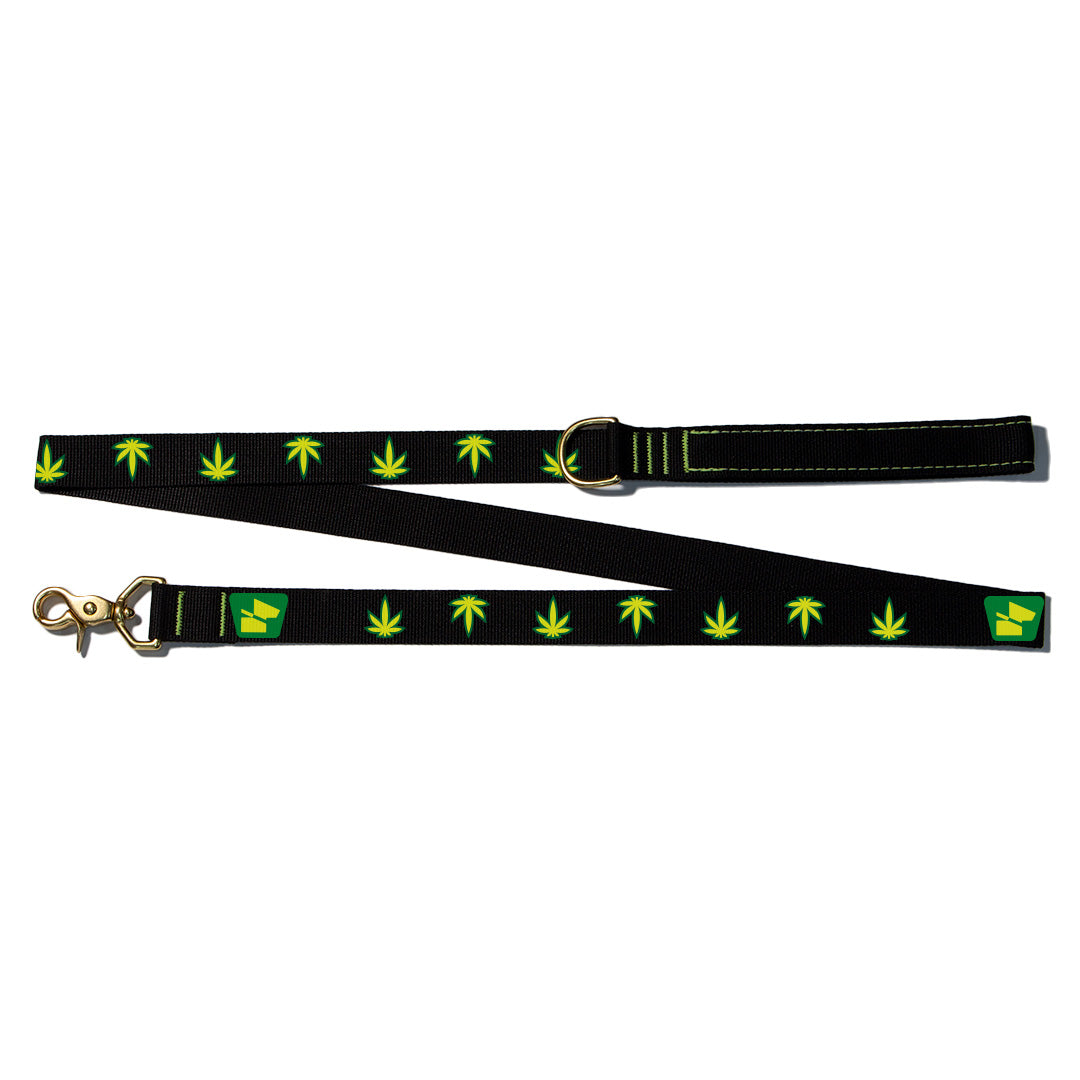 Reflective Wanderwag Leash • Mary Jane - Coal Black