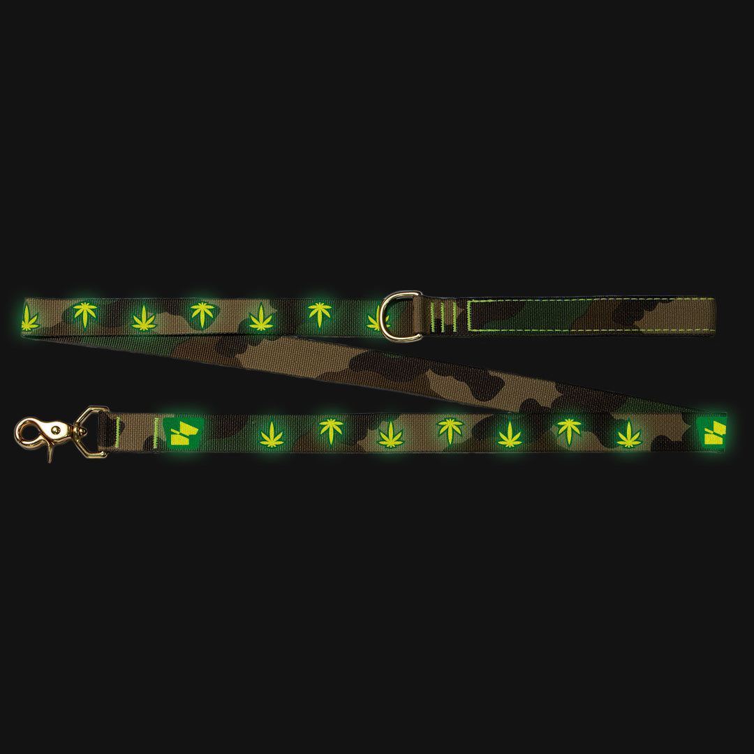 Reflective Wanderwag Leash • Mary Jane - M81 Camo