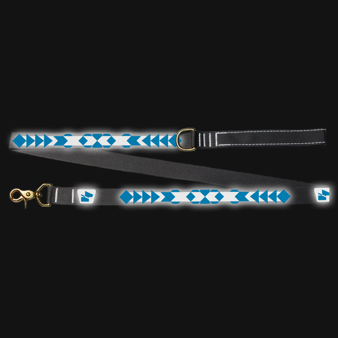Reflective Wanderwag Leash • Pendleton Pattern - Wolf Grey