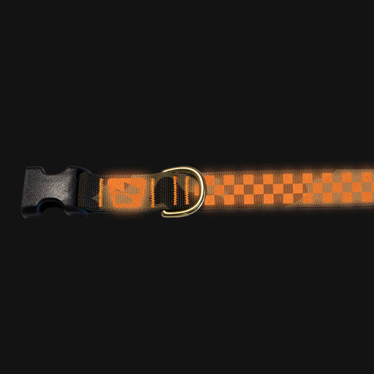 Reflective Base Camp Collar • Classic Checkers - M81 Camo