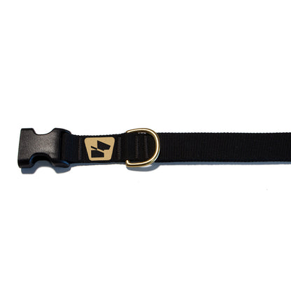 Standard Issue Base Camp Collar - Coal Black