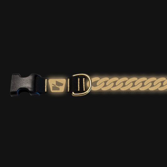 Reflective Base Camp Collar • Curb Chain - 24k Gold