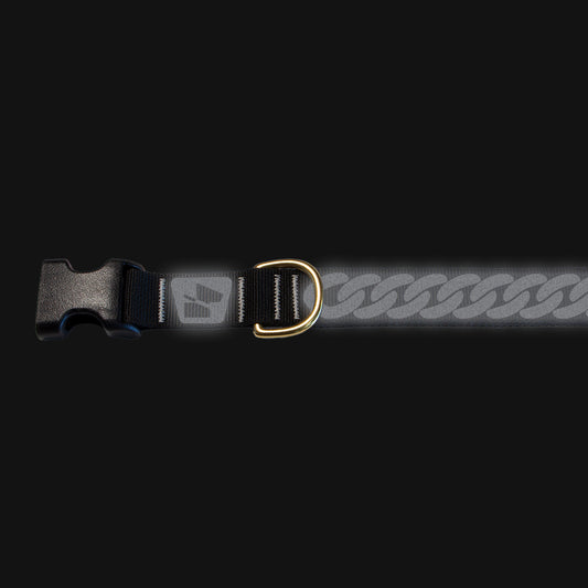 Reflective Base Camp Collar • Curb Chain - Pure Platinum