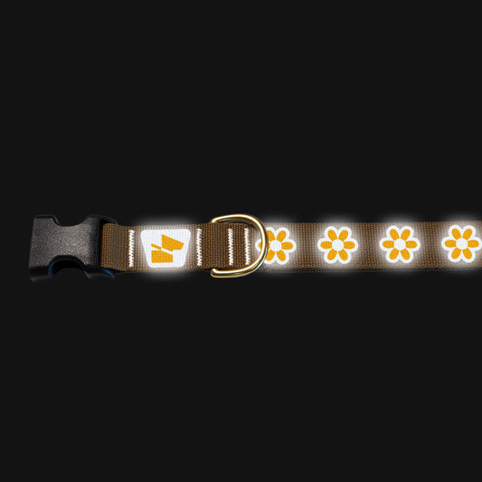 Reflective Base Camp Collar • Funky Flowers - Coyote Brown