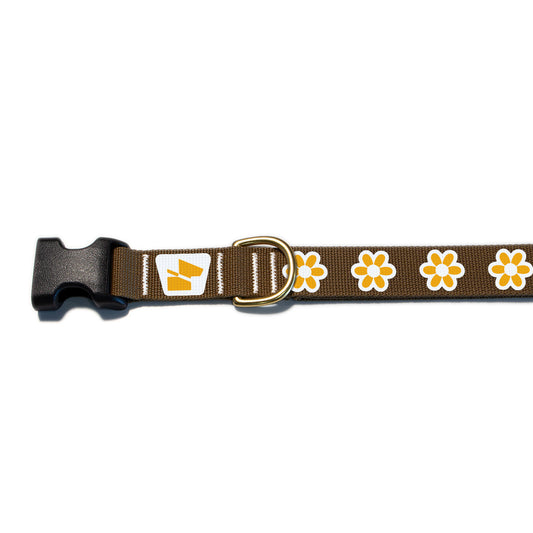 Reflective Base Camp Collar • Funky Flowers - Coyote Brown