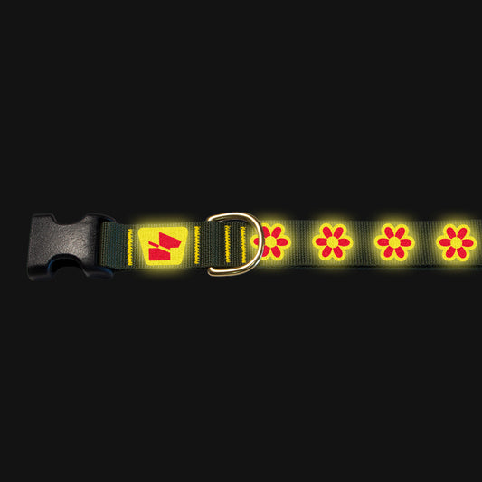 Reflective Base Camp Collar • Funky Flowers - Ranger Green