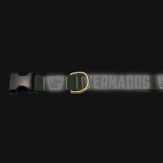 Reflective Base Camp Collar • Loud Logo - Ranger Green