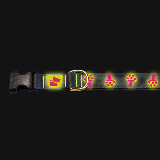 Reflective Base Camp Collar • Magic Mushrooms - Wolf Grey