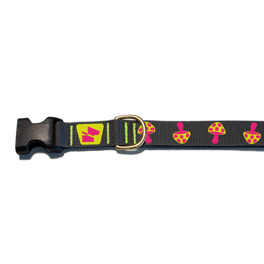 Reflective Base Camp Collar • Magic Mushrooms - Wolf Grey