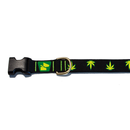 Reflective Base Camp Collar • Mary Jane - Coal Black