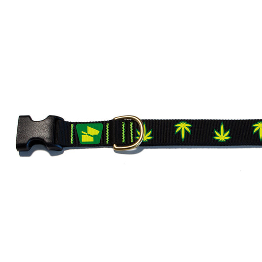 Reflective Base Camp Collar • Mary Jane - Coal Black
