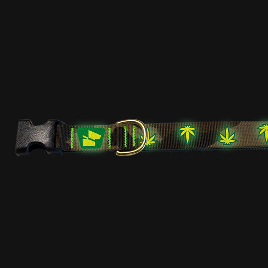 Reflective Base Camp Collar • Mary Jane - M81 Camo