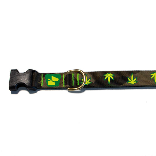 Reflective Base Camp Collar • Mary Jane - M81 Camo