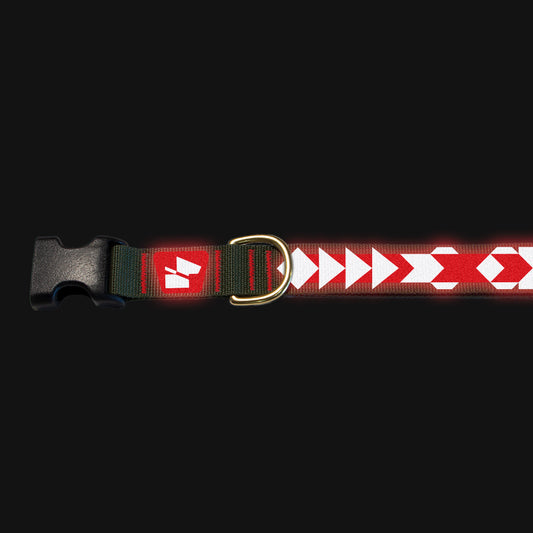 Reflective Base Camp Collar • Pendleton Pattern - Ranger Green