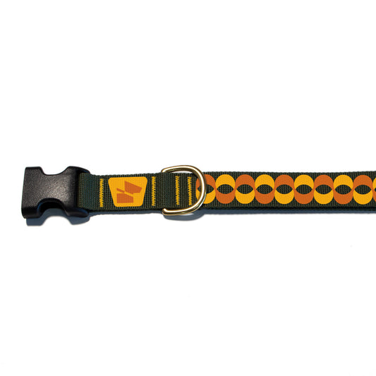 Reflective Base Camp Collar • Retro Ribbon - Ranger Green