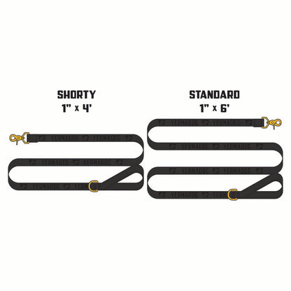 Reflective Wanderwag Leash • Loud Logo  - Coal Black
