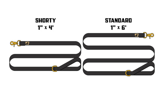 Standard Issue Wanderwag Leash - Coal Black