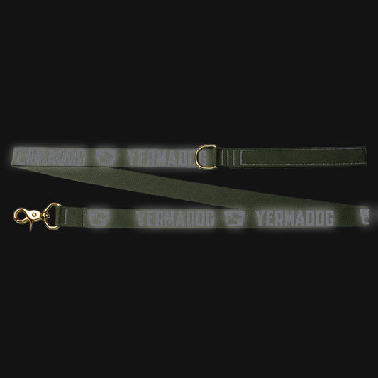 Reflective Wanderwag Leash • Loud Logo  - Ranger Green