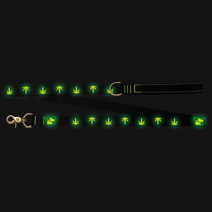 Reflective Wanderwag Leash • Mary Jane  - Coal Black