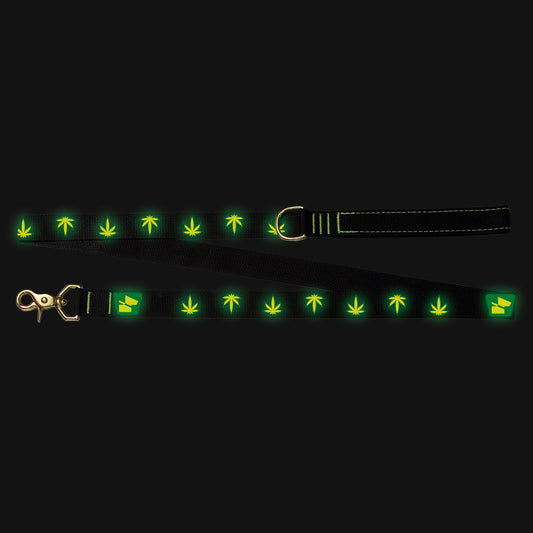 Reflective Wanderwag Leash • Mary Jane  - Coal Black