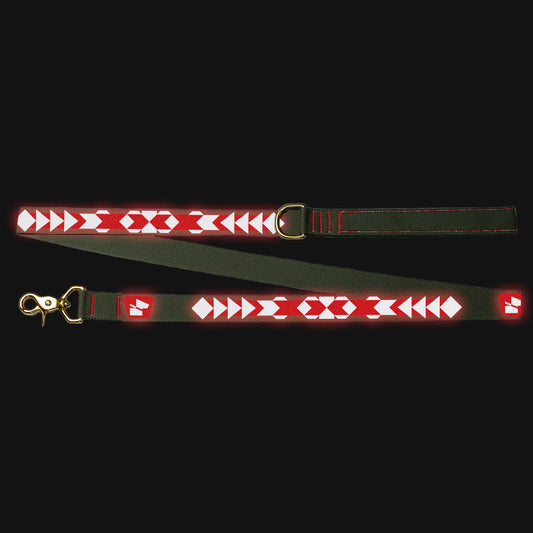 Reflective Wanderwag Leash • Pendleton Pattern - Ranger Green