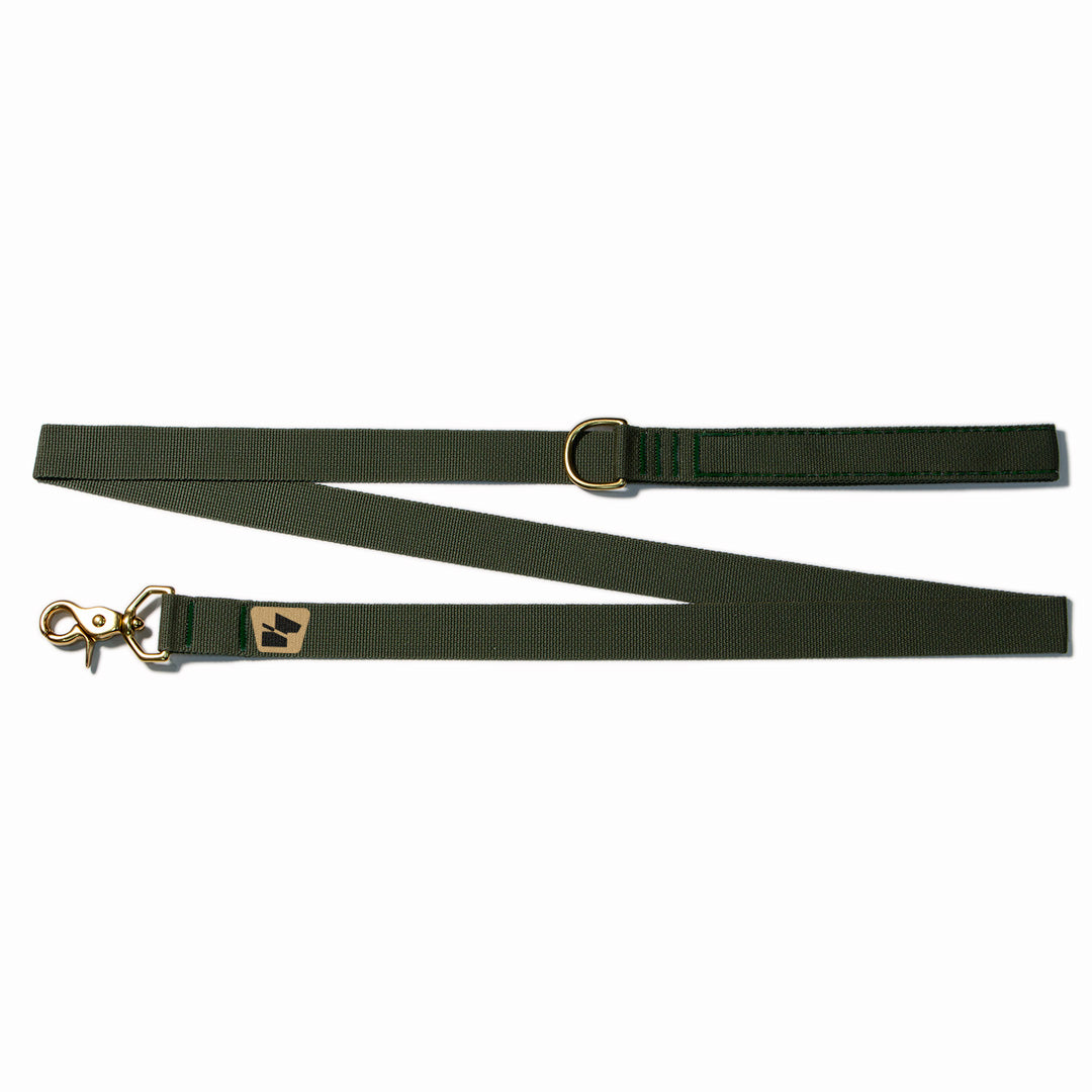 Standard Issue Wanderwag Leash - Ranger Green