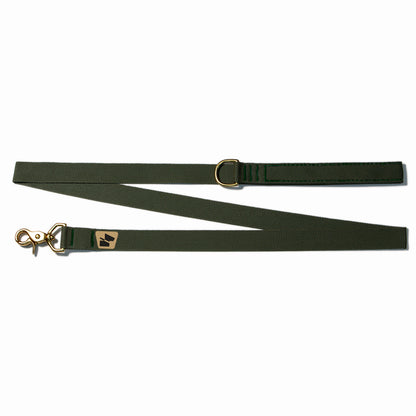 Standard Issue Wanderwag Leash - Ranger Green