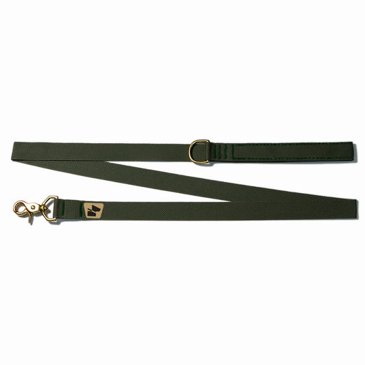 Standard Issue Wanderwag Leash - Ranger Green