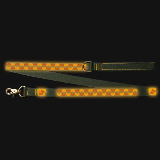 Reflective Wanderwag Leash • Retro Ribbon - Ranger Green